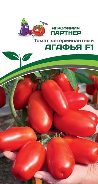 Партнер Томат АГАФЬЯ F1 ^(0,1г), изображение 0