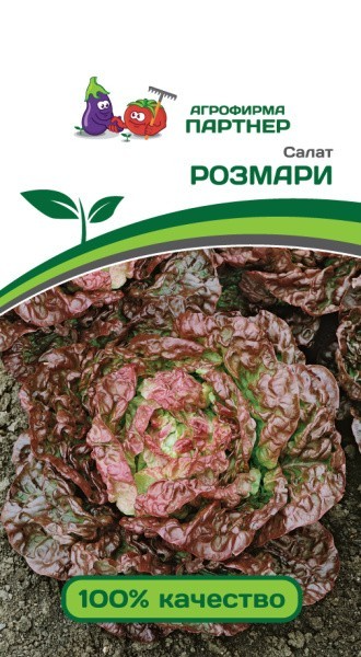 Партнер Салат кочанный РОЗМАРИ ^(1г)