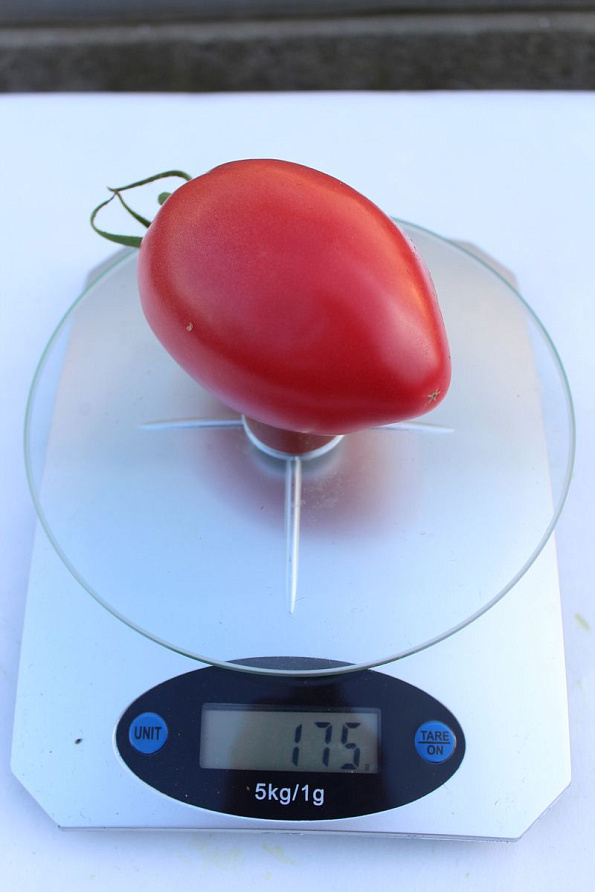 Партнер Томат ФУКС F1 ^(10шт) 2-ной пак, изображение 3
