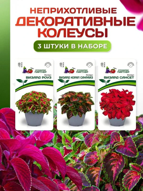 Партнер Набор цветов ДЕКОРАТИВНЫЕ КОЛЕУСЫ^ (1шт)
