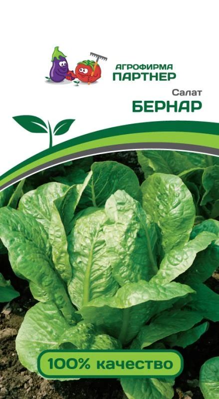 Партнер Салат кочанный БЕРНАР ^(0,5г), изображение 0