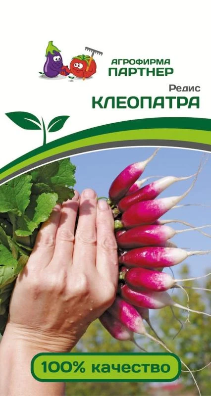 Партнер Редис КЛЕОПАТРА ^(2г), изображение 0